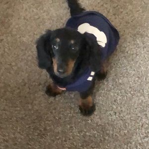 Meet your Posher, Ethan